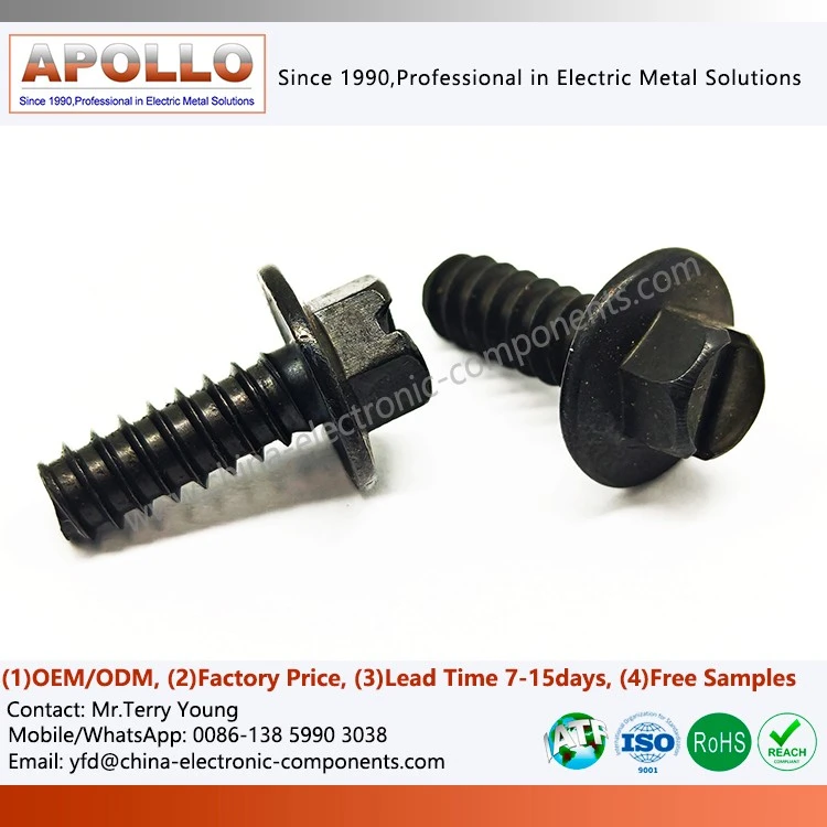 Flanged Screw with Hexagonal Head
